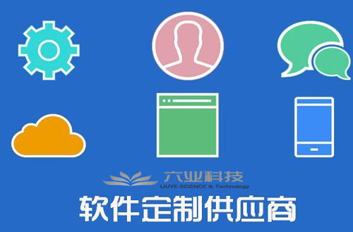 六業(yè)應(yīng)用軟件開(kāi)發(fā)全流程解析 從構(gòu)想到交付